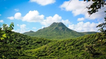 Discover the Wonders of Curaçao: Your Guide to Exploring the Park & Museum