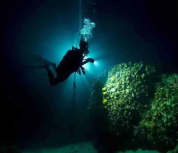 Experimente la emoción de una inmersión nocturna en barco con Ocean Encounters en Curazao