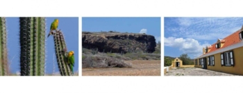 Natural Treasures of Curacao Jeep Tour