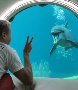 Ontdek de wonderen van Curaçao Sea Aquarium