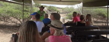 Safari Tour at Ostrich farm