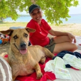 Pippi’s opvang Curaçao