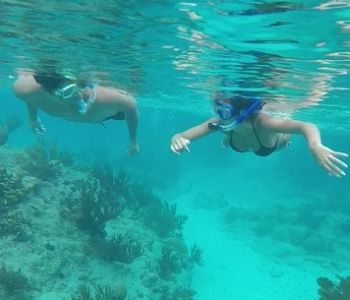 Your Fish Is Our Command Tour