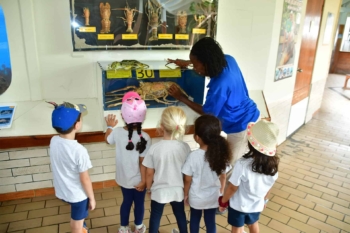 Explore Marine Education at Curaçao Sea Aquarium