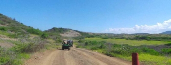 De Hangover Buggy Trip