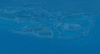 Duik in avontuur met de Animal Encounters Experience op Curaçao